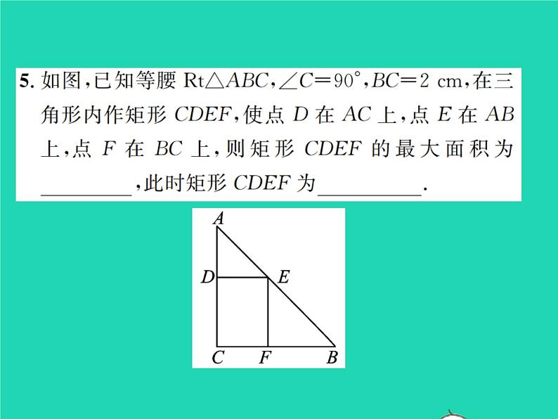 2022九年级数学下册第二章二次函数2.4二次函数的应用第1课时二次函数与图形面积问题习题课件新版北师大版06