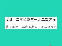 初中北师大版5 二次函数与一元二次方程习题ppt课件