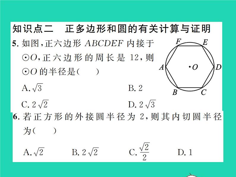 2022九年级数学下册第三章圆3.8圆内接正多边形习题课件新版北师大版05