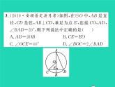 2022九年級(jí)數(shù)學(xué)下冊(cè)第三章圓雙休作業(yè)33.1_3.4習(xí)題課件新版北師大版