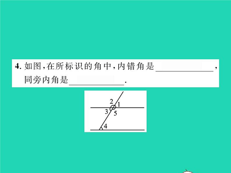 2022七年级数学下册第二章相交线与平行线2探索直线平行的条件第2课时利用内错角同旁内角判定两条直线平行习题课件新版北师大版05