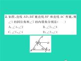 2022七年级数学下册第二章相交线与平行线双休作业22.1_2.2习题课件新版北师大版