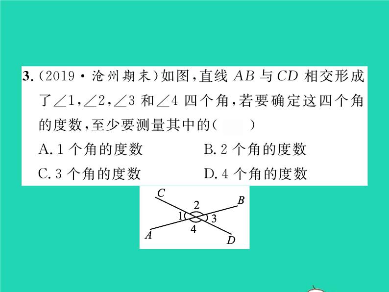 2022七年级数学下册第二章相交线与平行线双休作业22.1_2.2习题课件新版北师大版04