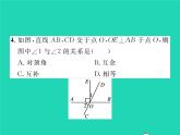 2022七年级数学下册第二章相交线与平行线双休作业22.1_2.2习题课件新版北师大版