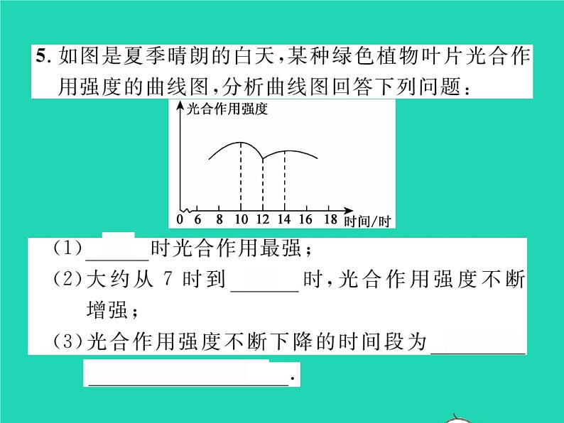 2022七年级数学下册第三章变量之间的关系3用图象表示的变量间关系第1课时曲线型图象习题课件新版北师大版08