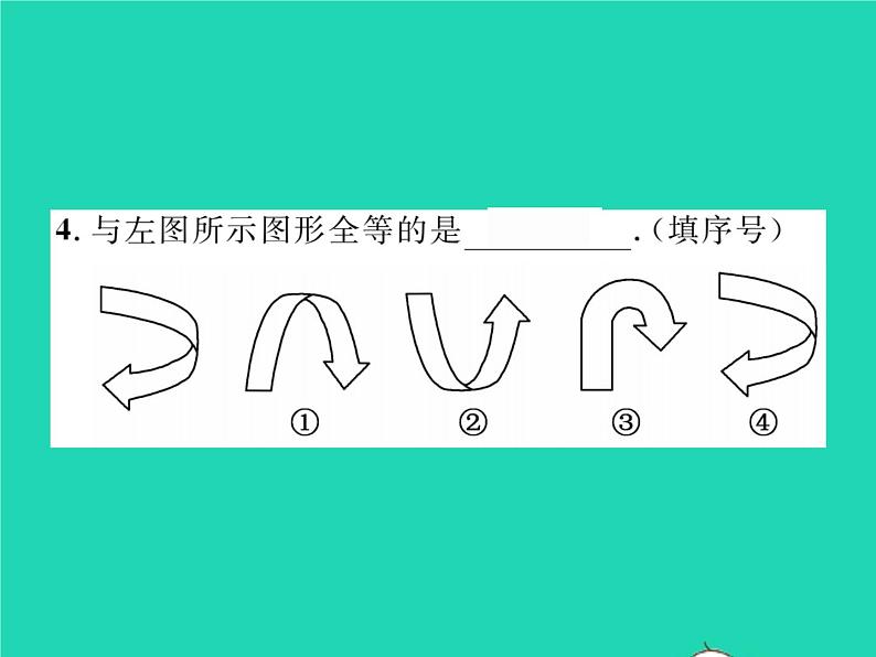 2022七年级数学下册第四章三角形2图形的全等习题课件新版北师大版05