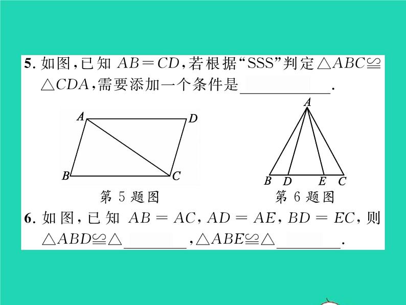 2022七年级数学下册第四章三角形3探索三角形全等的条件第1课时利用SSS判定三角形全等习题课件新版北师大版06