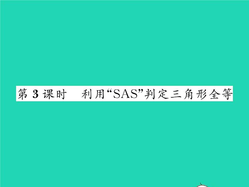 2022七年级数学下册第四章三角形3探索三角形全等的条件第3课时利用SAS判定三角形全等习题课件新版北师大版01