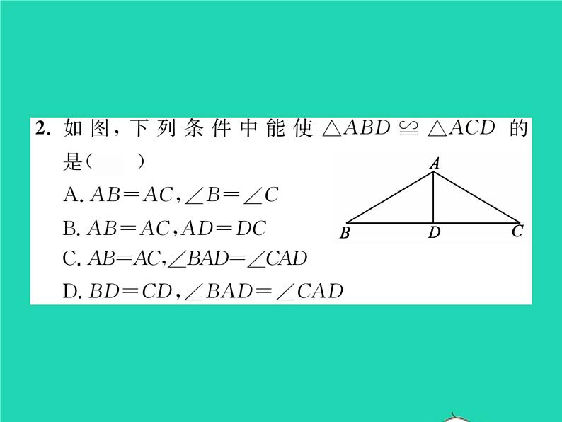 2022七年级数学下册第四章三角形3探索三角形全等的条件第3课时利用SAS判定三角形全等习题课件新版北师大版03