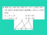 2022七年级数学下册第四章三角形3探索三角形全等的条件第3课时利用SAS判定三角形全等习题课件新版北师大版