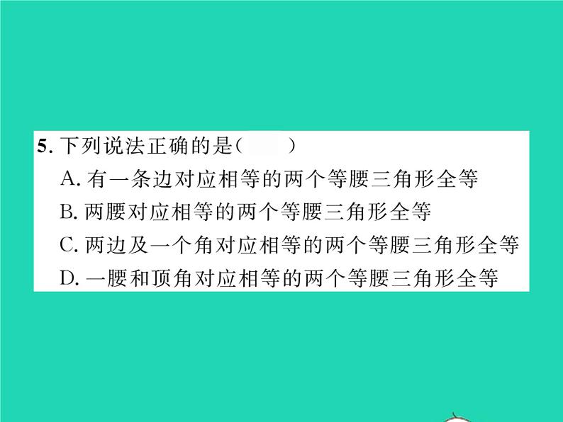 2022七年级数学下册第四章三角形3探索三角形全等的条件第3课时利用SAS判定三角形全等习题课件新版北师大版06