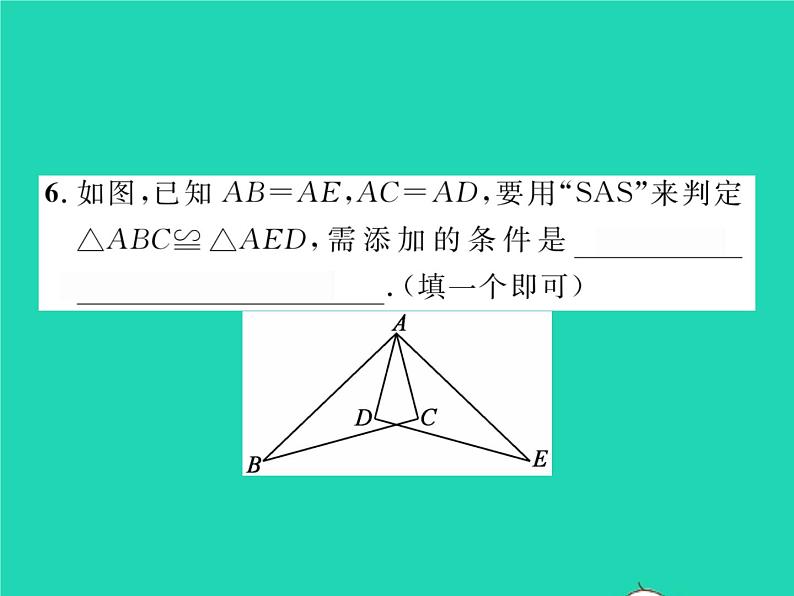 2022七年级数学下册第四章三角形3探索三角形全等的条件第3课时利用SAS判定三角形全等习题课件新版北师大版07