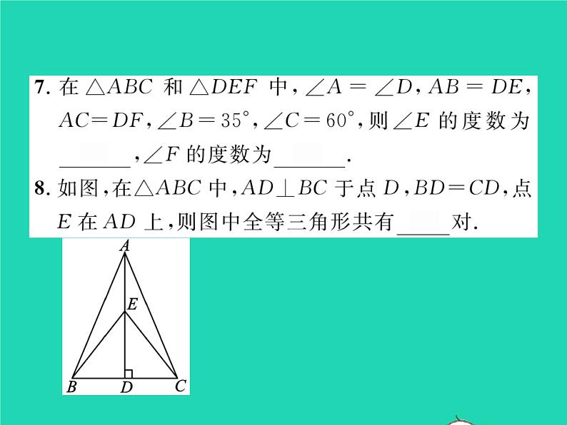 2022七年级数学下册第四章三角形3探索三角形全等的条件第3课时利用SAS判定三角形全等习题课件新版北师大版08