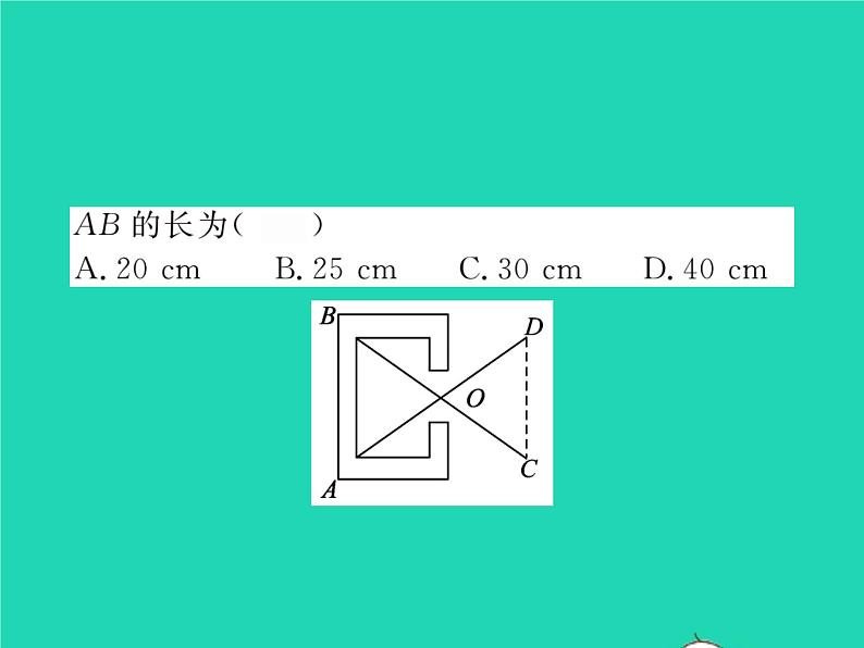 2022七年级数学下册第四章三角形5利用三角形全等测距离习题课件新版北师大版第3页