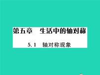 初中数学1 轴对称现象习题ppt课件