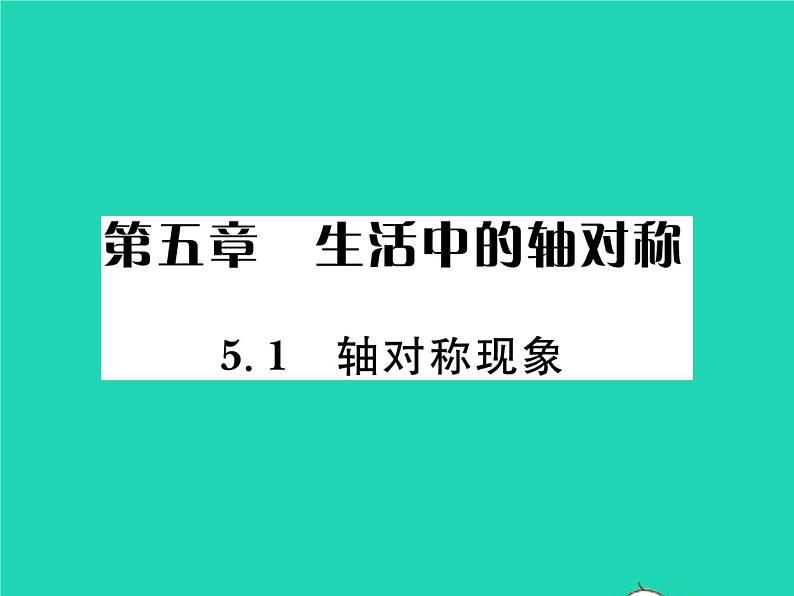 2022七年级数学下册第五章生活中的轴对称1轴对称现象习题课件新版北师大版01