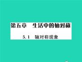 2022七年级数学下册第五章生活中的轴对称1轴对称现象习题课件新版北师大版