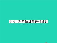 北师大版七年级下册第五章  生活中的轴对称4 利用轴对称进行设计习题ppt课件