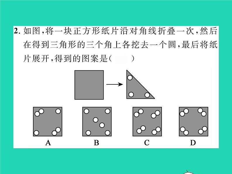 2022七年级数学下册第五章生活中的轴对称4利用轴对称进行设计习题课件新版北师大版第3页