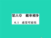 2022七年级数学下册第六章概率初步1感受可能性习题课件新版北师大版