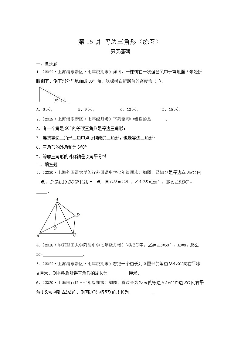 第15讲 等边三角形（练习）原卷版第1页