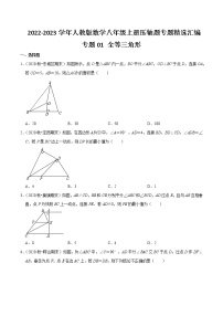 专题01 全等三角形-【挑战压轴题】2021-2022学年八年级数学上册压轴题专题精选汇编（人教版）