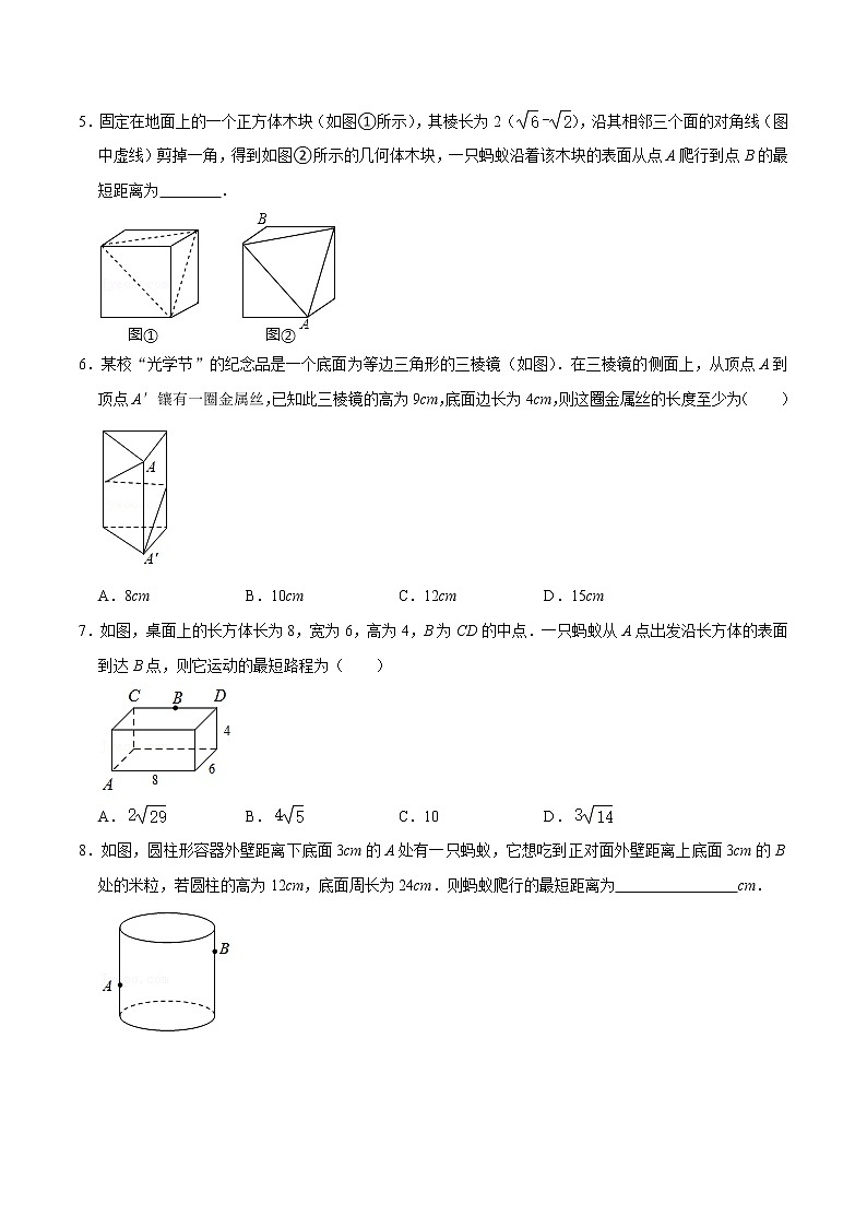 专题05  勾股定理中的最值问题（原卷版）-【重难点突破】2022-2023学年八年级数学上册常考题专练（北师大版）第2页