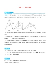 专题1.2 手拉手模型（重点题专项讲练）-2022-2023学年八年级数学上册从重点到压轴（苏科版）