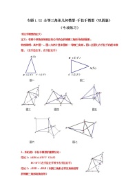 专题1.52 全等三角形几何模型-手拉手模型（巩固篇）（专项练习）-2022-2023学年八年级数学上册基础知识专项讲练（浙教版）