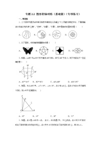 专题2.2 图形的轴对称（基础篇）（专项练习）-2022-2023学年八年级数学上册基础知识专项讲练（浙教版）