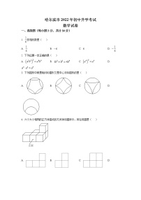 2022年黑龙江省哈尔滨市中考数学真题