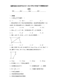 福建省龙岩市漳平市2021-2022学年八年级下学期期末数学试卷(含答案)