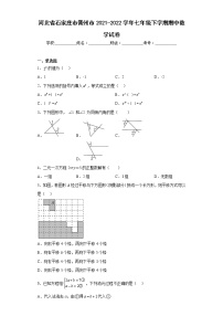 河北省石家庄市晋州市2021-2022学年七年级下学期期中数学试卷(含答案)