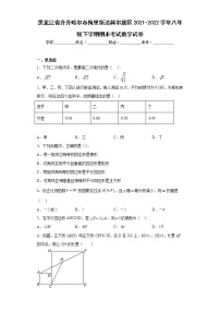 黑龙江省齐齐哈尔市梅里斯达斡尔族区2021-2022学年八年级下学期期末考试数学试卷(含答案)