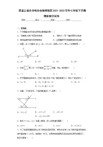 黑龙江省齐齐哈尔市梅里斯区2021-2022学年七年级下学期期末数学试卷(含答案)