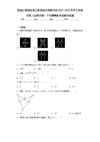 黑龙江省绥化市兰西县崇文实验学校2021-2022学年七年级学制（五四学制）下学期期末考试数学试题(含答案)