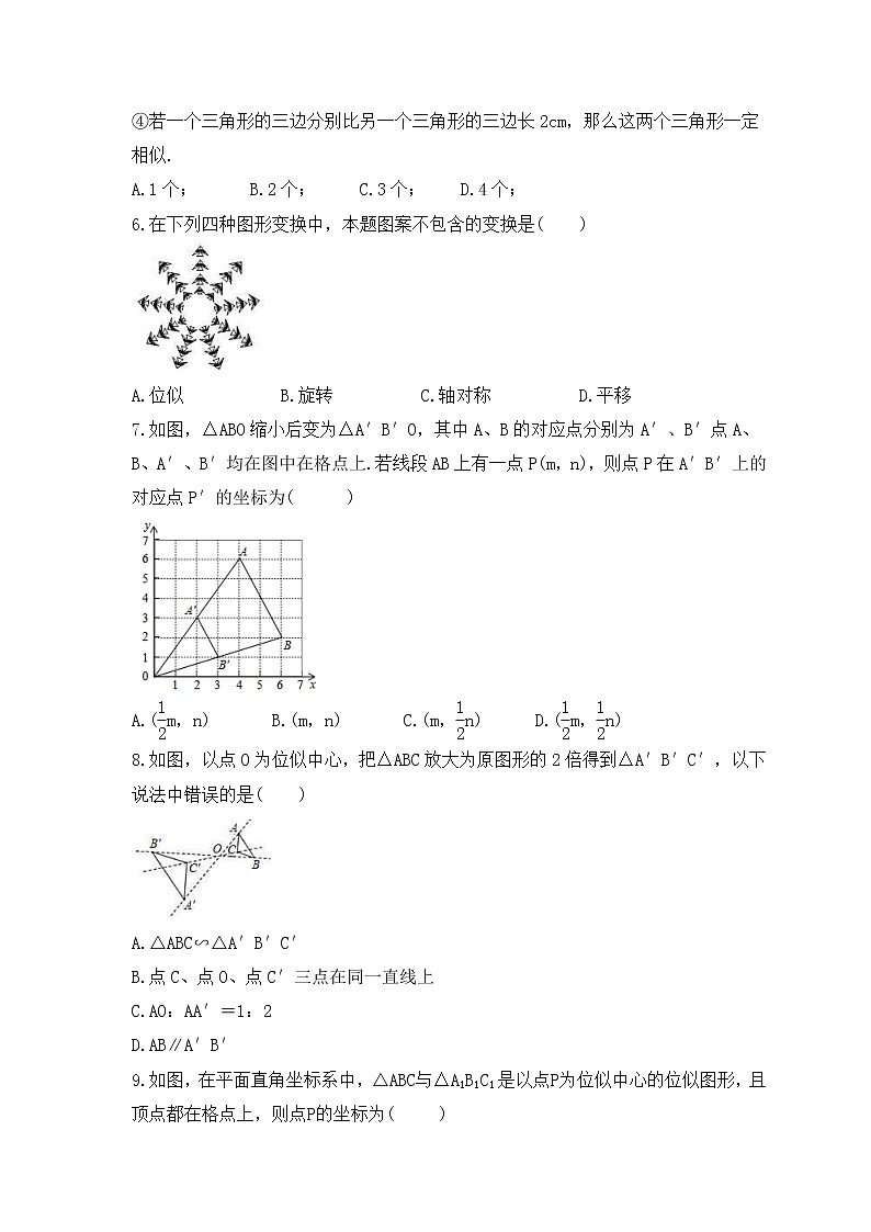 2022-2023年湘教版数学九年级上册3.6《位似》课时练习（含答案）02