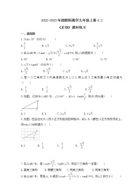 初中数学湘教版九年级上册4.2 正切精品当堂达标检测题