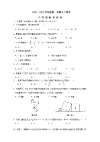 广东省高州市第一中学附属实验中学2022-2023学年八年级上学期第一次月考数学试题(含答案)