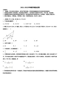 江苏省淮安市洪泽区教育联盟校2022年中考数学模试卷含解析