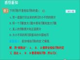 3.3 相似圖形 2021秋九年級數(shù)學(xué)上冊授課課件