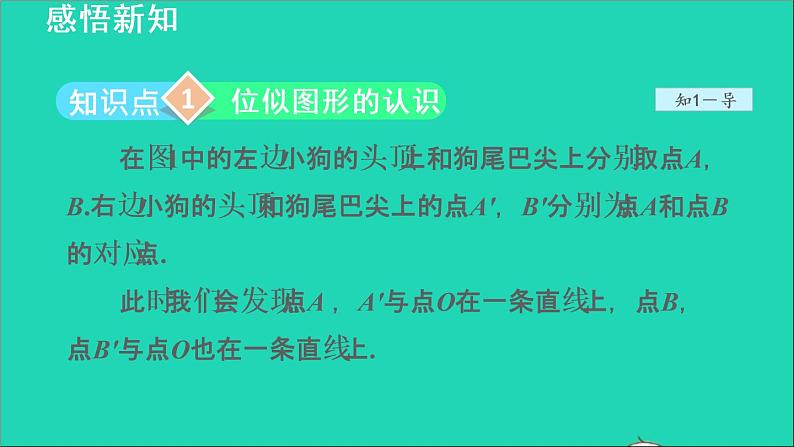 3.6 位似1 位似图形 2021秋九年级数学上册授课课件第4页