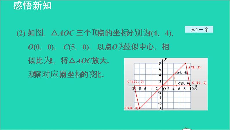 3.6 位似2 平面直角坐标系中的位似变换 2021秋九年级数学上册授课课件第5页