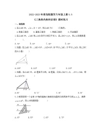 青岛版八年级上册5.5 三角形内角和定理精品同步练习题