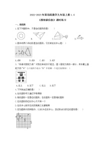 初中数学青岛版九年级上册1.4 图形的位似精品当堂达标检测题