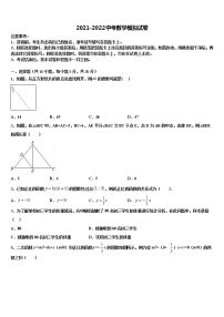 江苏省扬州市仪征市新集初级中学2021-2022学年中考数学考前最后一卷含解析