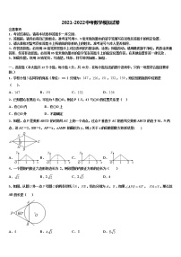 宁夏石嘴山市平罗县2022年中考数学押题卷含解析