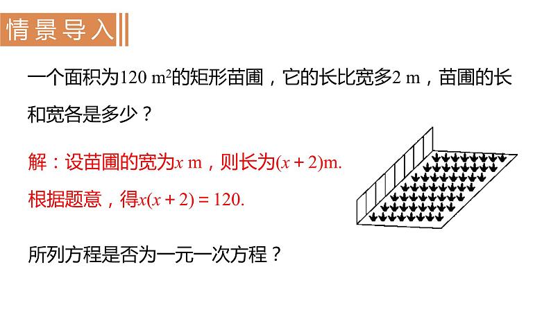 北师大版九年级数学上册课件 2.1　认识一元二次方程第2页