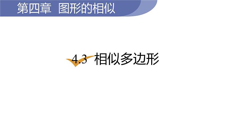 北师大版九年级数学上册课件 4.3　相似多边形01