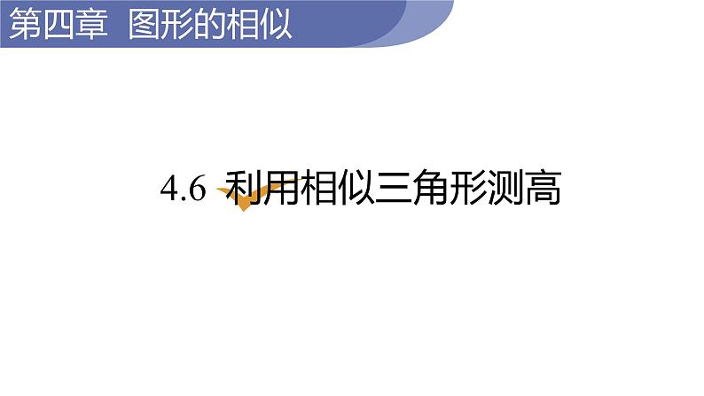 北师大版九年级数学上册课件 4.6　利用相似三角形测高01